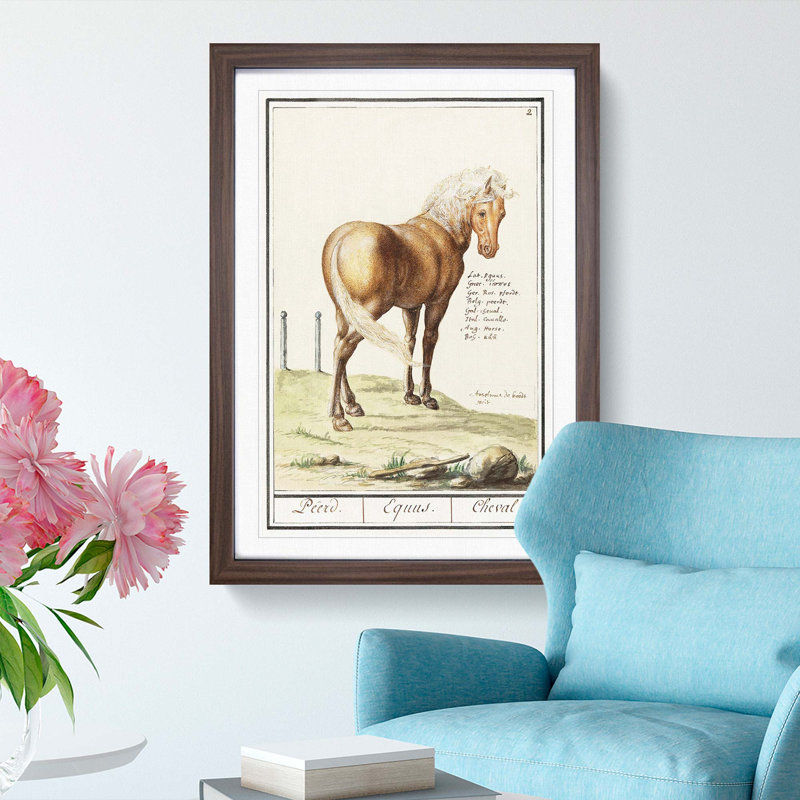 Horse by A.B. de Boodt - Picture Frame Painting Print, Walnut Framed, 36cm H x 27cm W x 2cm D