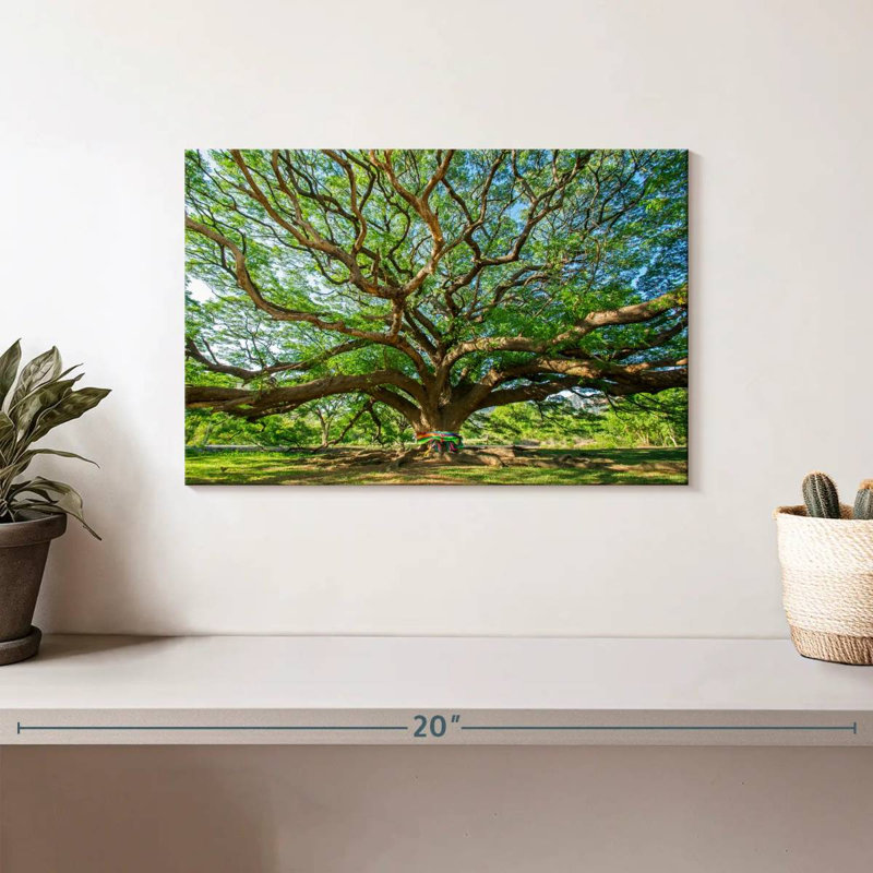 Vieil arbre Harnek, H 8 po x l 12 po