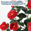 Plant-1898309019