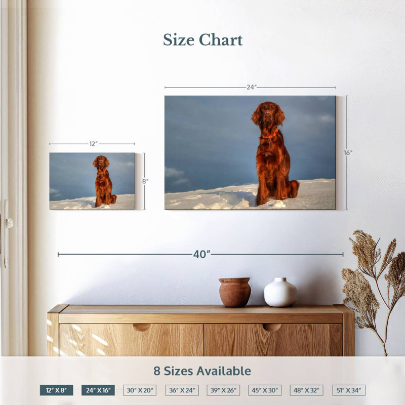 Setter irlandais sur neige, H 16 po x l 24 po