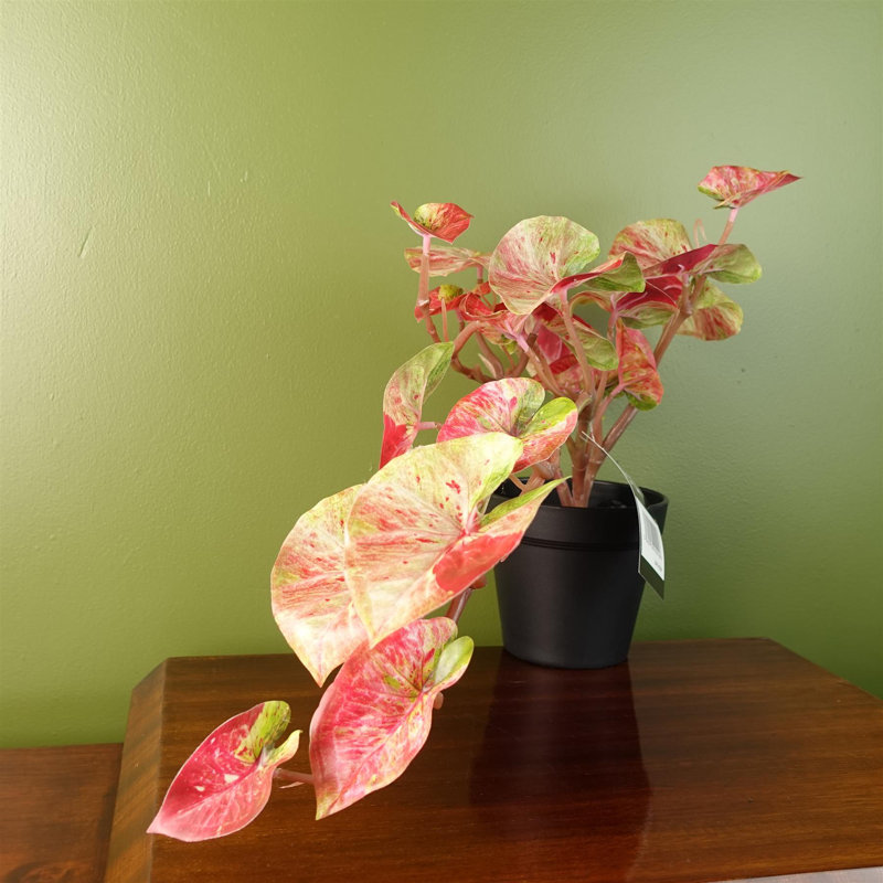 Artificial Foliage Plant in Pot, 35cm H X 40cm  W X 30cm D