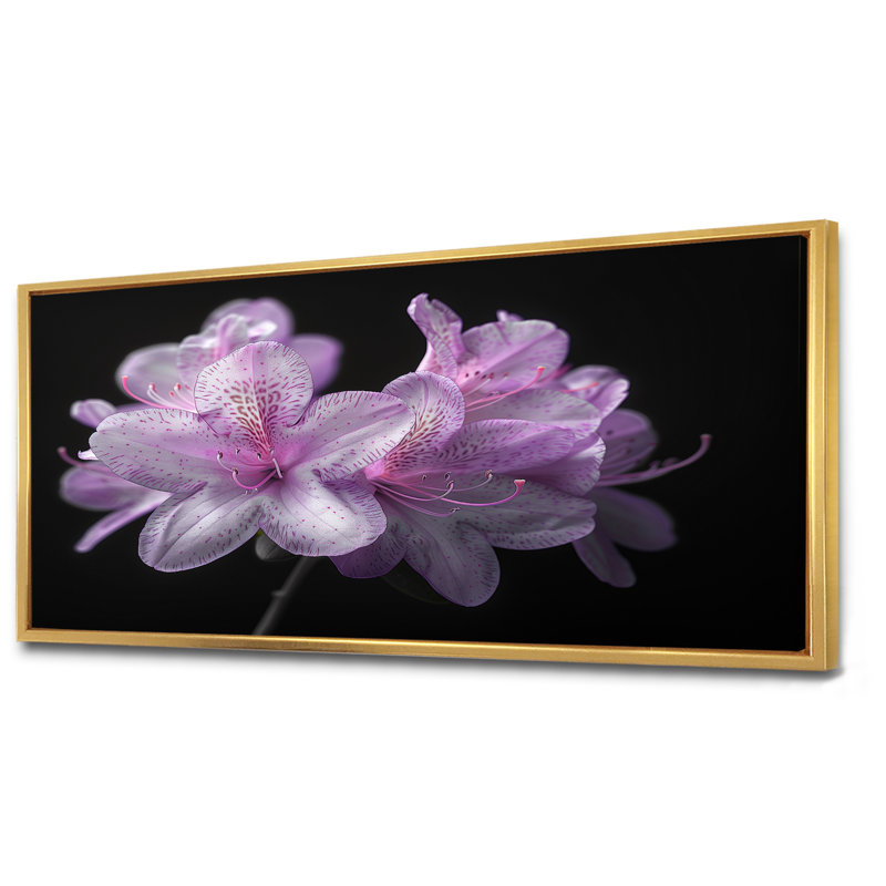 Ruchodendron mauve et noir soufflant vents - art mural rhododendron, H 28 po x l 60 po, Cadre flottant doré
