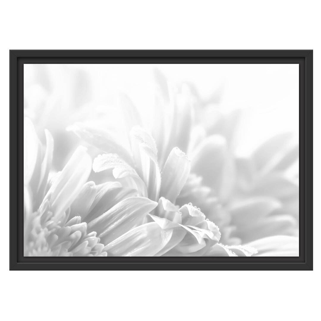 Gerahmtes Wandbild Gerbera-Blume