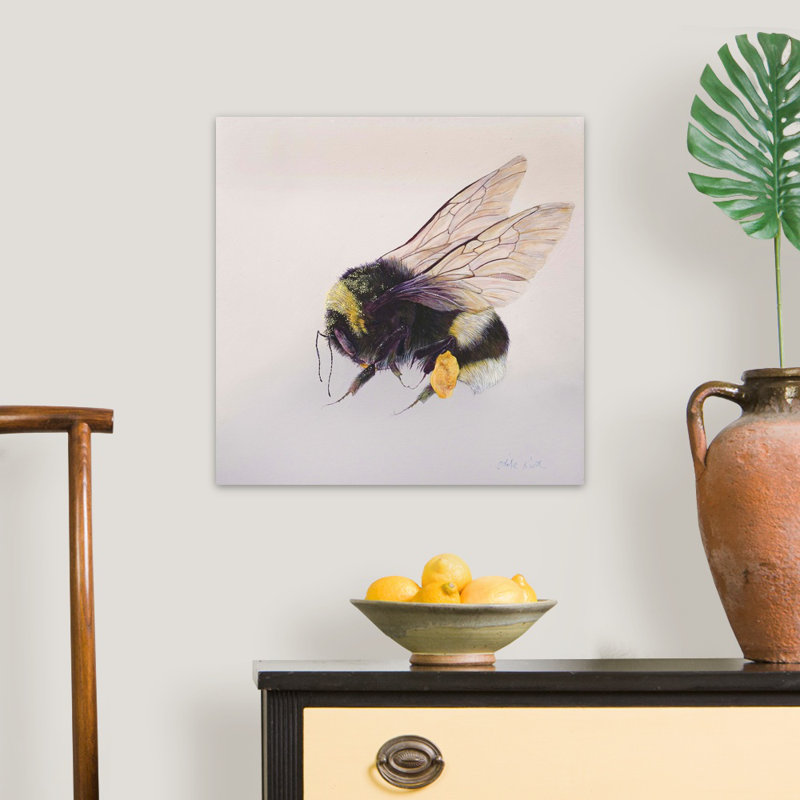 " Pollen Sac 2, 2011 ", 20" H x 20" W x 1.25" D, Wrapped Canvas