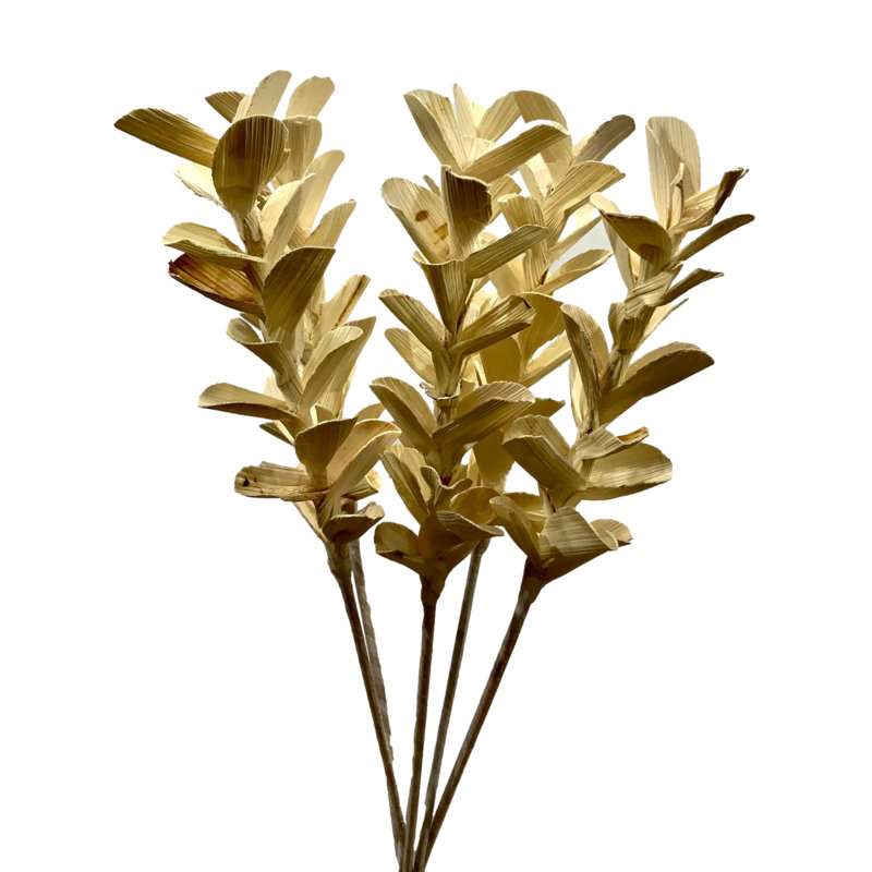 Erie Arrangement
