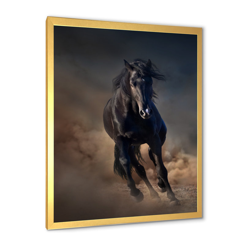 Portrait d'un cheval étalon Purius I - impression maison de campagne, H 32 po x l 24 po x P 1 po, Encadrement doré