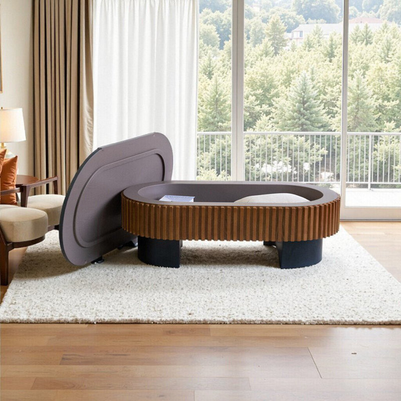 Élégante table basse elliptique de 43,7 po avec rangement dissimulé et plateau amovible - Design moderne en placage de bois massif noir et noyer