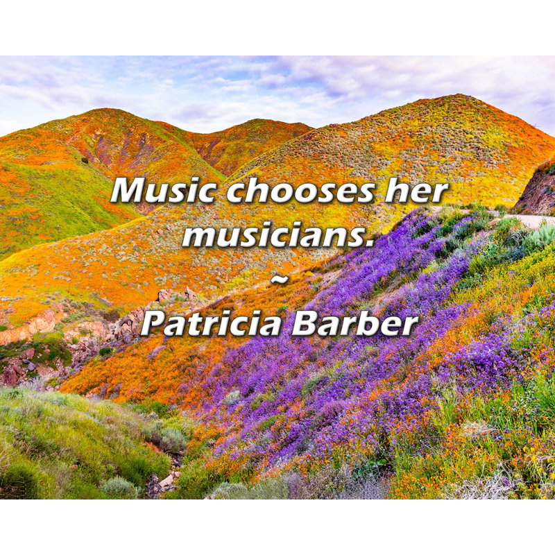 Citation de Patricia Barber: La musique choisit ses musiciens., H 15 po x l 18 po
