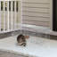 Siphon en fer pour petits animaux-463403361