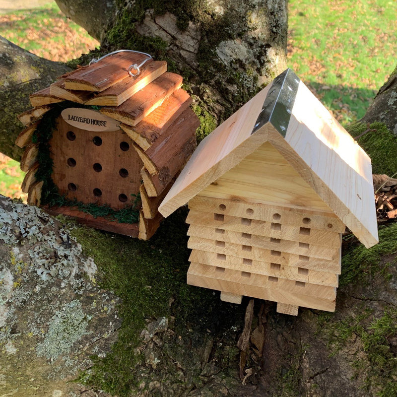 2 Piece Ladybird Hotel Hanging Bumblebee House Set