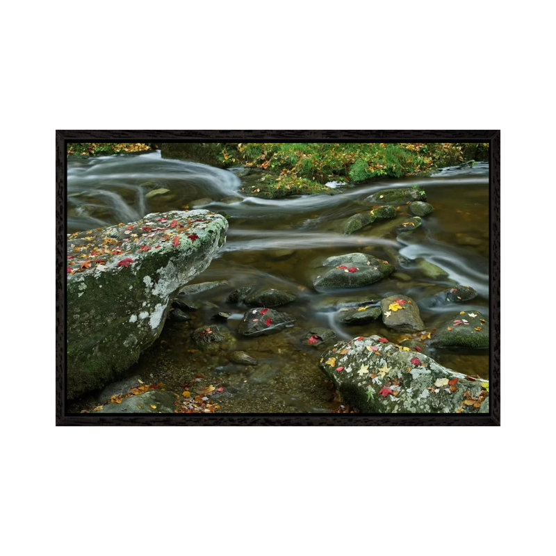 Laurel Creek, Great Smoky Mountains National Park, Tennessee 1 Piece Wall Art on Canvas, 66.04 cm H x 45.72 cm W