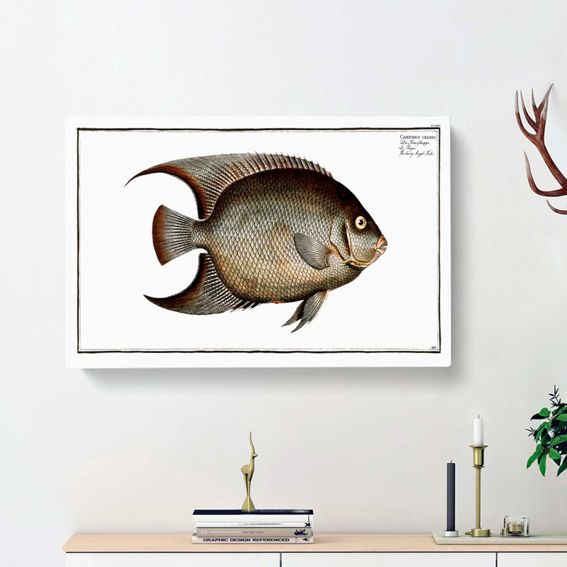 Hairy Angel-Fish by M.E. Bloch - Wrapped Canvas Graphic Art Print, 40cm H x 60cm W x 3cm D