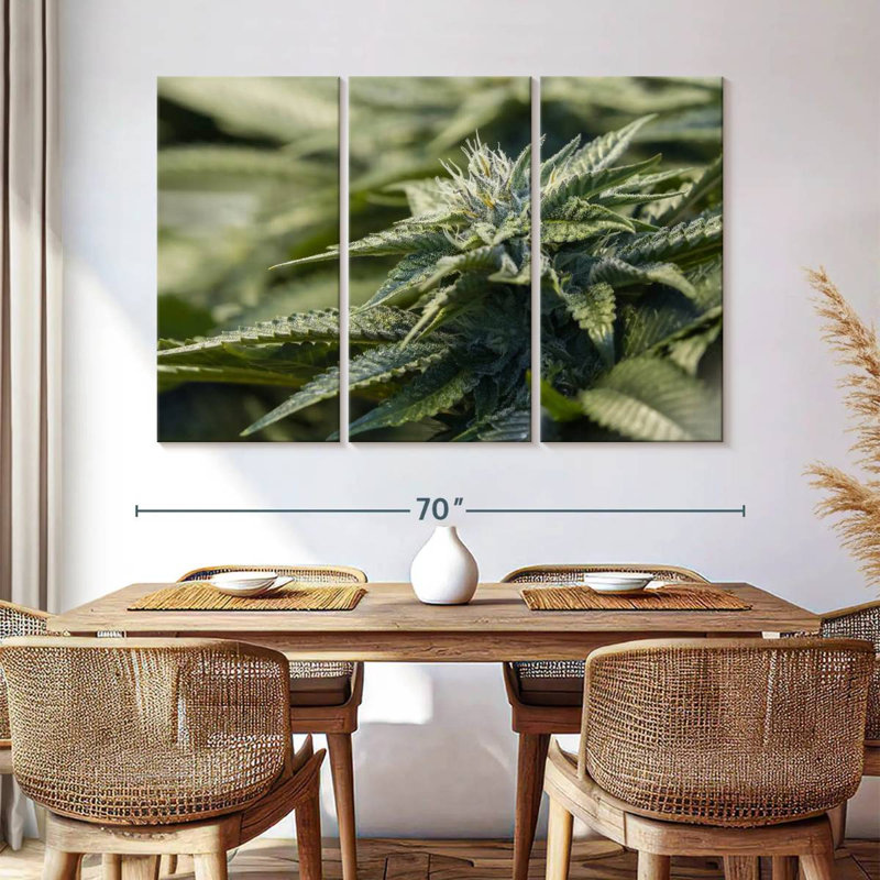 Plante de marihuana cristallisée Harnek, H 42 po x l 65 po