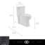 Belshire One-Piece Elongated Toilet
