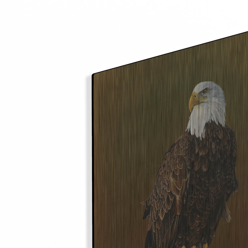 «Proud Bald Eagle» par Jim Brune, art mural en métal, H 24 po x l 16 po