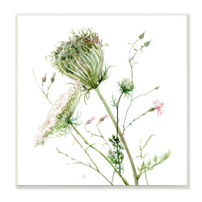 "Blooming Queen Anne's Lace Wildflower", peinture à l'aquarelle sur toile blanche encadrée par Verbrugge