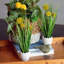 Arrangement floral Pom-Pom Billy-Button en pot