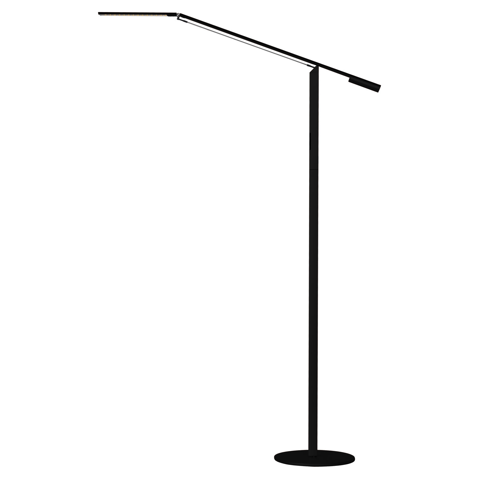 Equo 44.75'' Dimmable Floor Lamp, Black, Warm