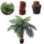 Artificial Palm Tree in Pot