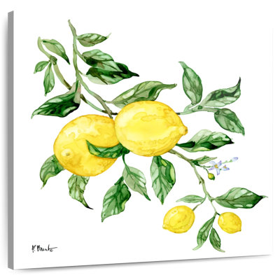 Yarlin citrons siciliens I