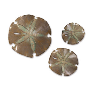 Sand Dollar Decor Sets of 3, 6 or 10, Large Sand Dollars 3.5-5 inch Size Options, Packed w/LOVE, Coastal Ocean Decor, Beach Wedding Decor, Men's