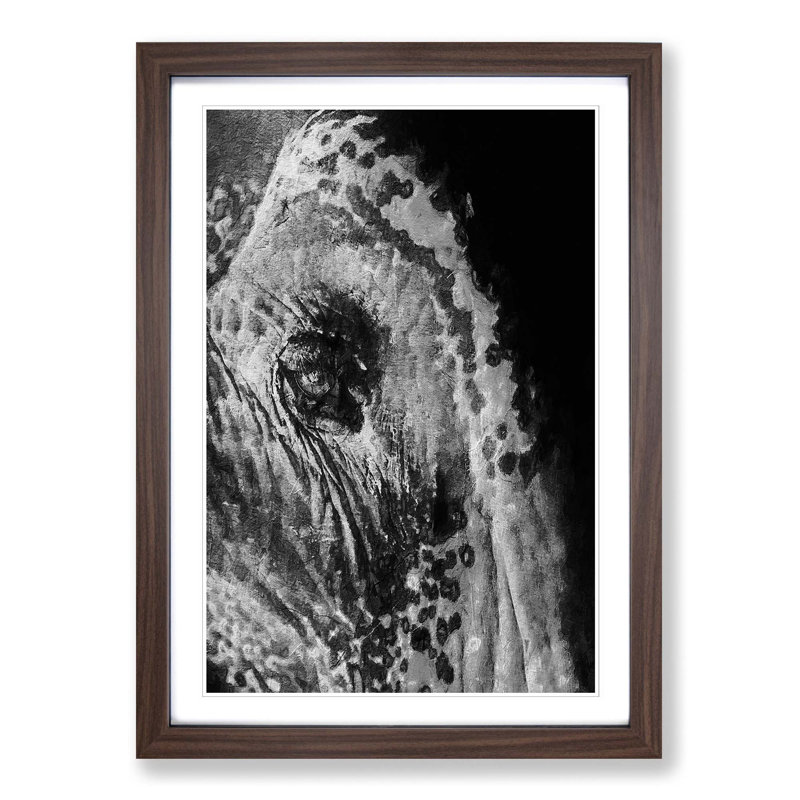 Watchful Elephant - Picture Frame Painting Print, 65cm H x 48cm W x 2cm D, Walnut Framed