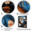 Blue Owls Moonlight Realm II sur impression sur toile-97027765-97027769