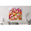 My Oh My 1 Piece Wrapped Canvas Wall Art-912467204