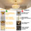 6 - Light Chandelier