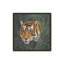 «Jungle Cat Bust II» par Wild Apple Portfolio, reproduction d'art-1029251412-1029251415