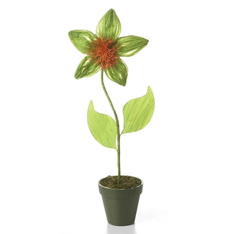 Plante à fleurs