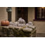 Pumpkin with a Twist-131026448