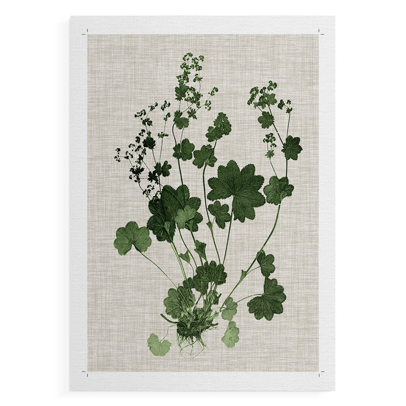 Forest Foliage on Linen III - Impression sur toile seulement - NON-CADRE, H 27 po x l 18 po