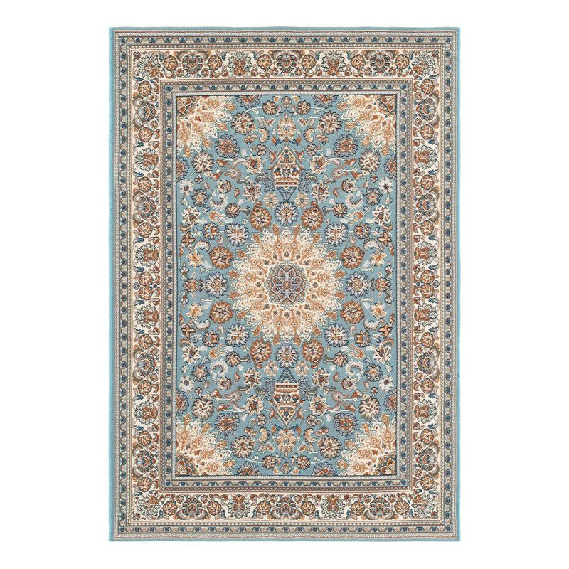 Indoor/Outdoor Traditional Area Rug, Rectangle 4'1" x 6'1"