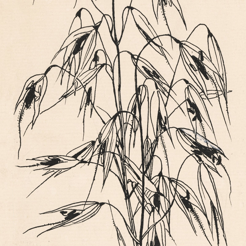 Haver Print by Willem Wenckebach