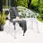 Kareena Metal Outdoor Bench