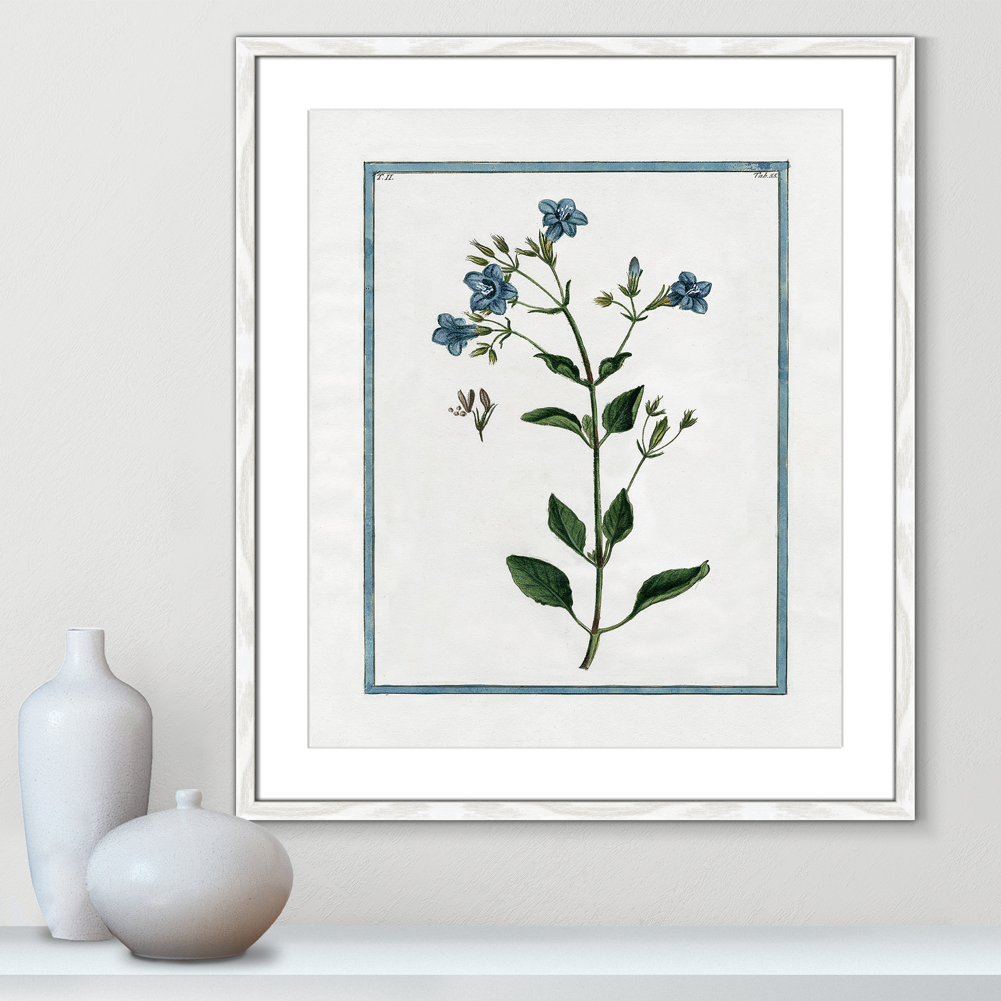 Shabby Elegance Botanical II - Framed Art, White Framed, 21.5" W x 25.5" H