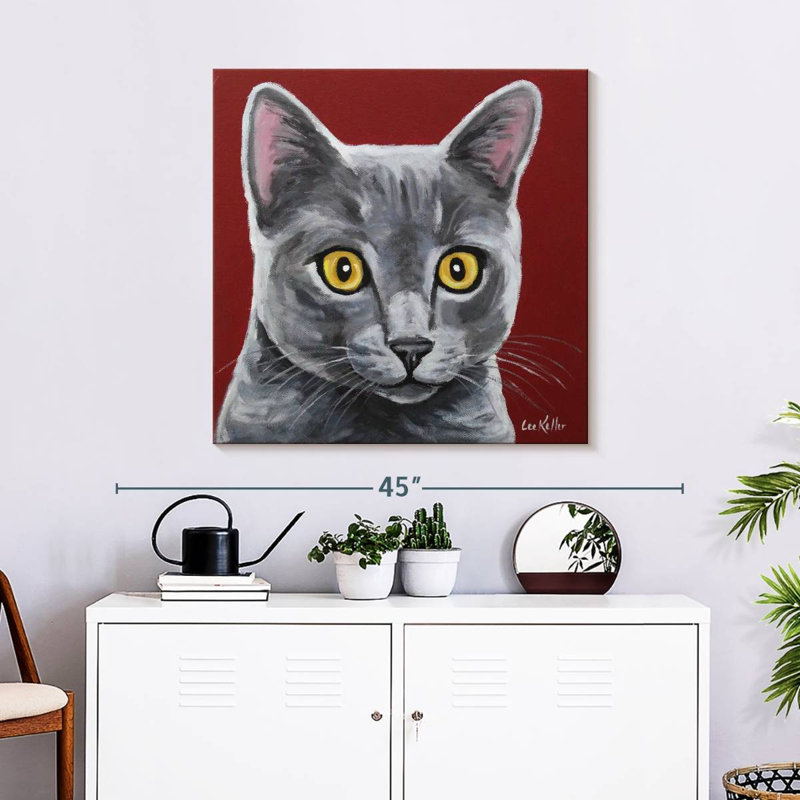 Crowle gris chat Oliver, H 30 po x l 30 po