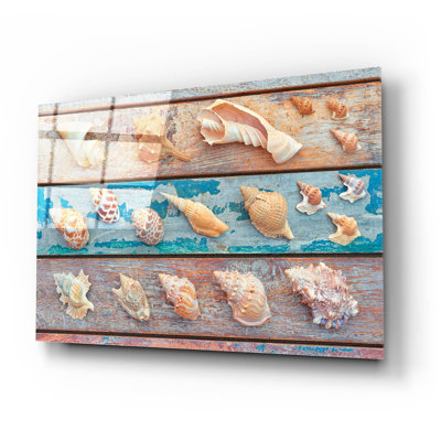 Art mural en verre Dovecove «Sea Snail Shells» par Cora Niele