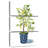 Harnek Fruit Tree II