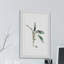 Rachel Byler - Single Picture Frame Painting-895296158