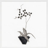 Orchid Study 2 Print by Simon Schneiderman