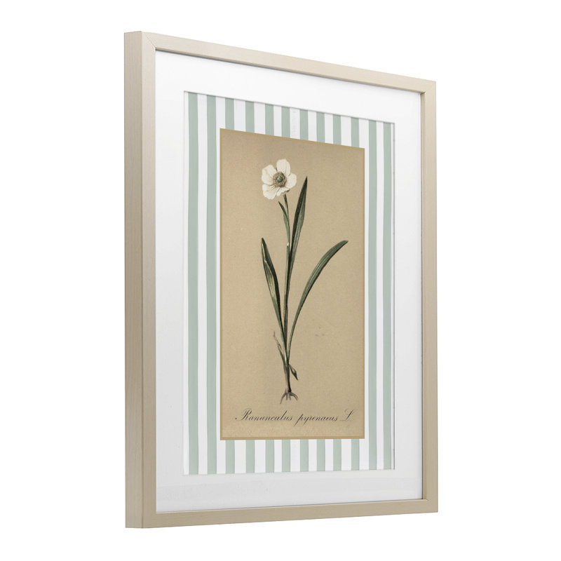 «Wild Poppy» avec rayures vertes encadrées sous verre, design avec lettres et doublure, H 16 po x l 13 po