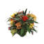 Bromeliad Arrangement in Pot