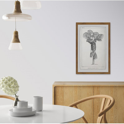 Palm Livistona - Single Picture Frame Print