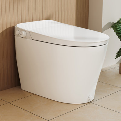 Toilette à bidet Deervalley avec chasse d'eau à siphon, conception à jupe, buse autonettoyante, fixation murale, toilette allongée en céramique Ada