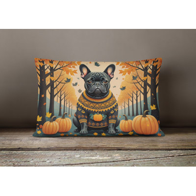 Other/No Pattern Outdoor Throw Pillow
