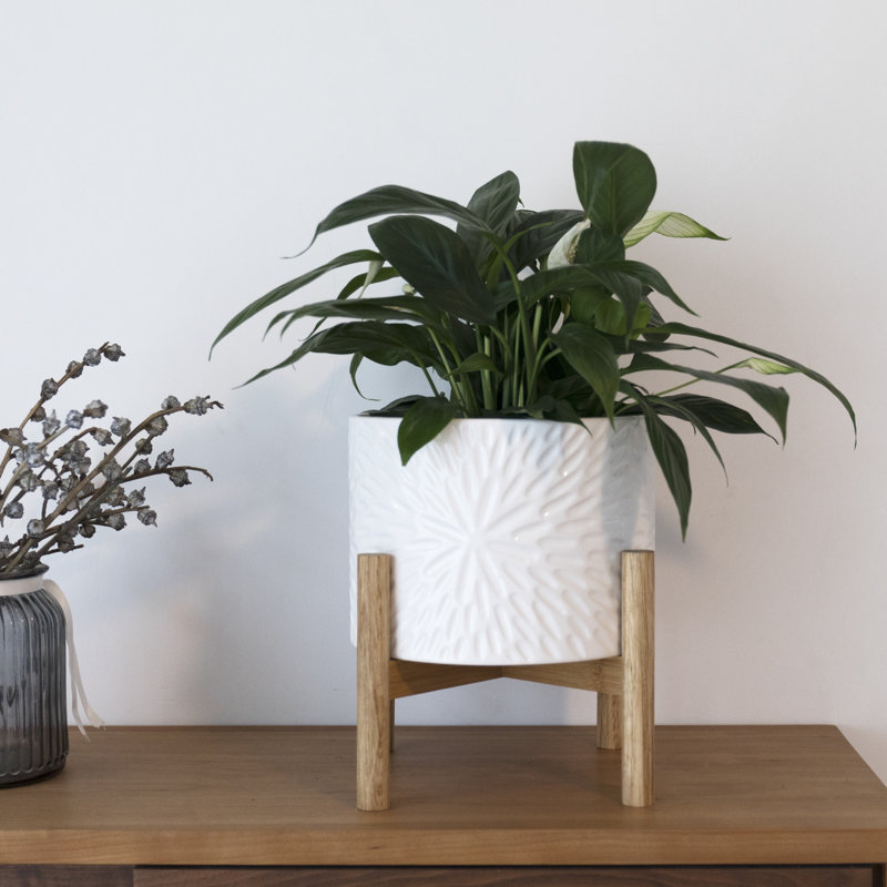 Elayna Ceramic Planter with Wood Stand, 9.7" H x 8" W x 8" D, White