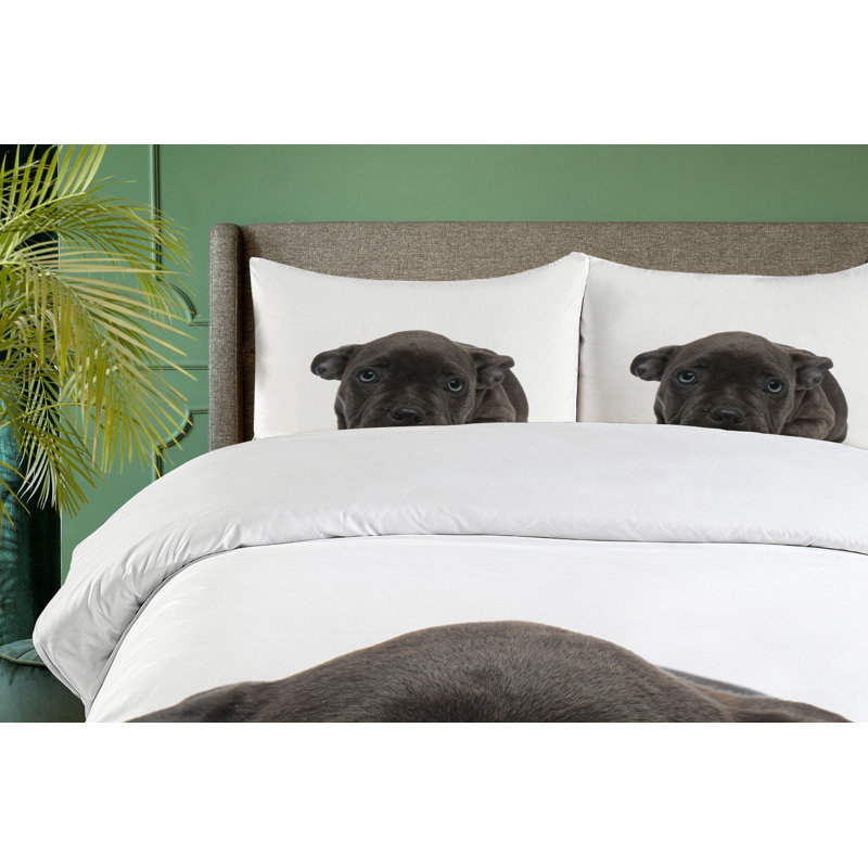 No Duvet Cover, Queen