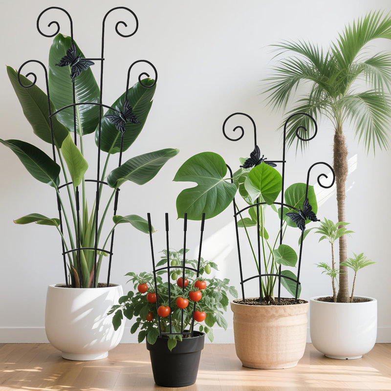 Lot de 2 treillis de 76 cm de haut pour plantes grimpantes en pot d'intérieur, treillis de jardin extensible en métal pour plantes grimpantes